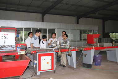 江苏农村科技服务超市举办蔬菜工厂化育苗技术示范经验交流会 助推农业现代化发展